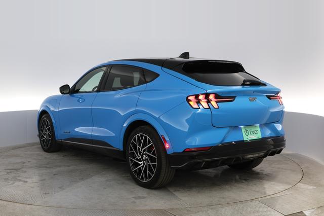 2021 Ford Mustang Mach-E — photo 7 of 11
