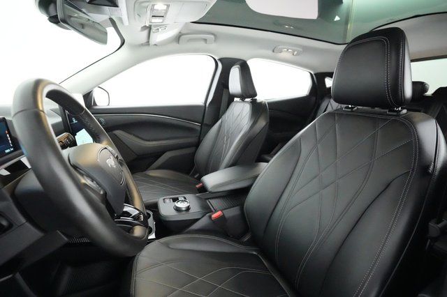2021 Ford Mustang Mach-E — photo 15 of 34