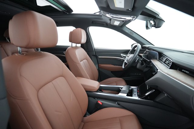 2022 Audi e-tron — photo 20 of 25