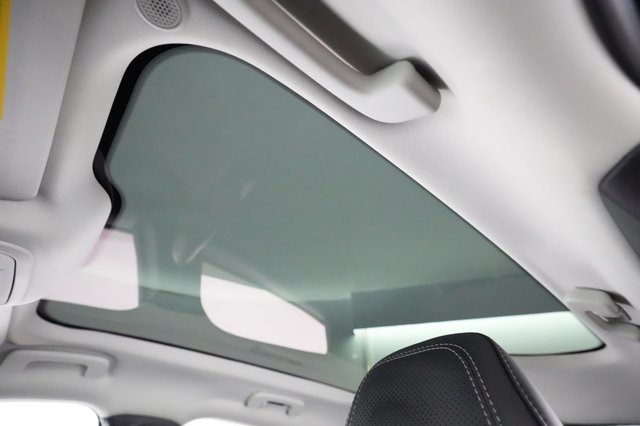 2021 Ford Mustang Mach-E — photo 21 of 39