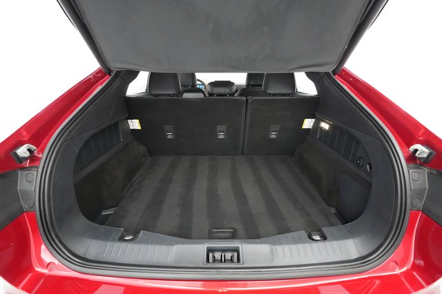 2021 Ford Mustang Mach-E — photo 25 of 39
