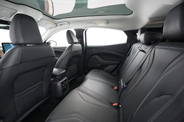2021 Ford Mustang Mach-E — photo 17 of 39