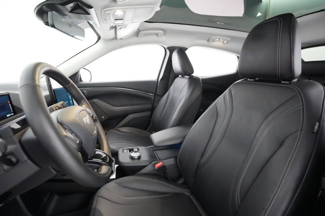 2021 Ford Mustang Mach-E — photo 16 of 39