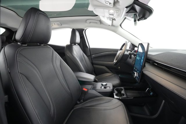 2021 Ford Mustang Mach-E — photo 18 of 39