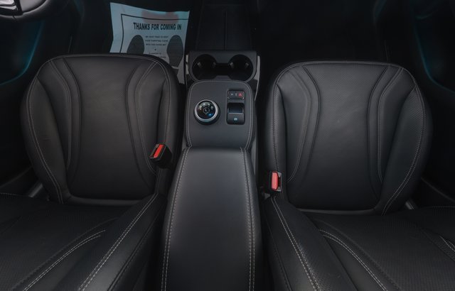 2021 Ford Mustang Mach-E — photo 20 of 39