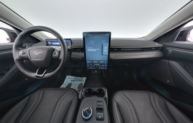 2021 Ford Mustang Mach-E — photo 19 of 39