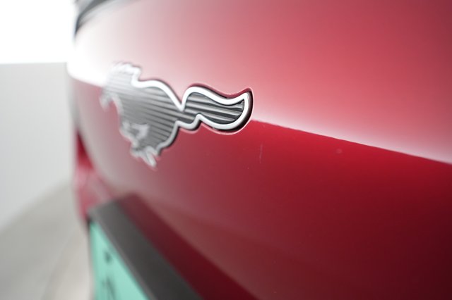 2021 Ford Mustang Mach-E — photo 36 of 39