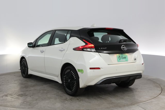 2024 Nissan LEAF — photo 9 of 22