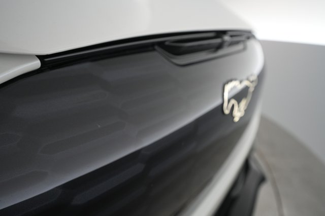 2023 Ford Mustang Mach-E — photo 27 of 31