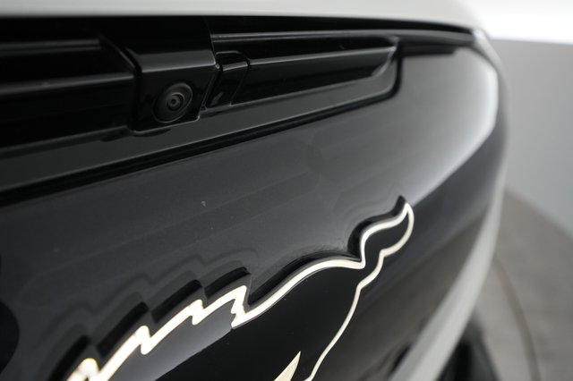 2023 Ford Mustang Mach-E — photo 29 of 31