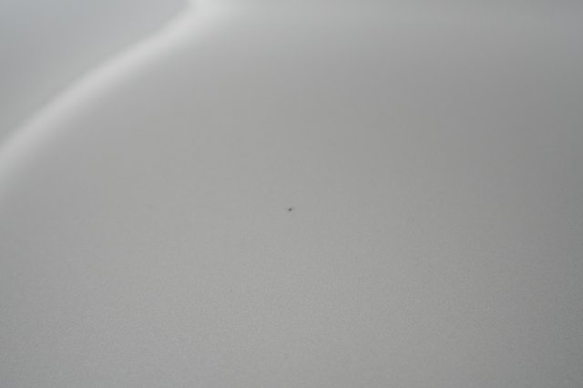 2022 Polestar 2 — photo 25 of 27