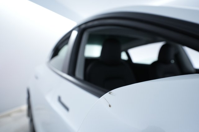 2021 Tesla Model 3 — photo 22 of 23