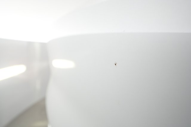 2023 Tesla Model Y — photo 27 of 27