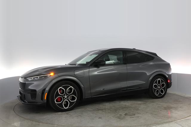 2023 Ford Mustang Mach-E — photo 10 of 60