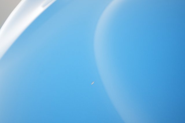 2023 Ford Mustang Mach-E — photo 19 of 40