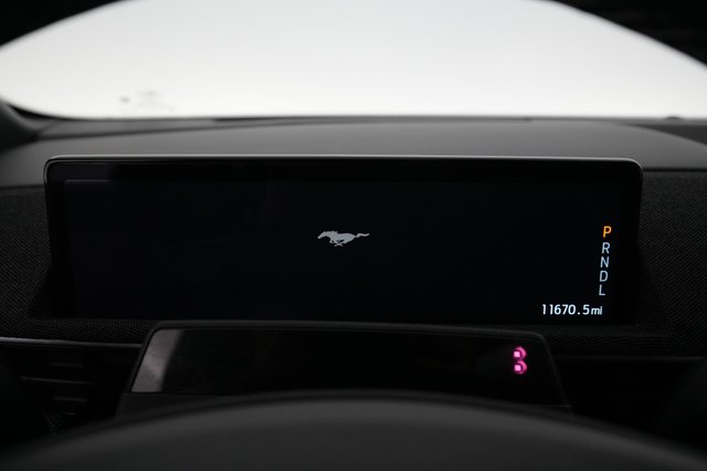 2023 Ford Mustang Mach-E — photo 4 of 40