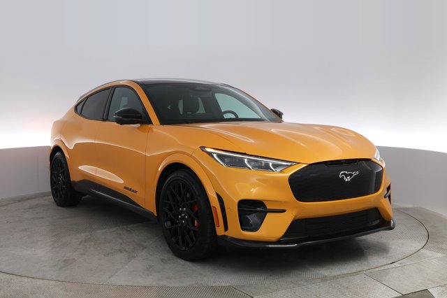 2023 Ford Mustang Mach-E — photo 6 of 38