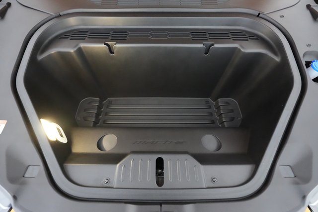 2023 Ford Mustang Mach-E — photo 20 of 38